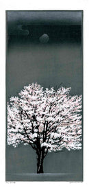 A Blooming Cherry Tree at Night Yashushi Omoto Woodblock - Panteek Antique Prints