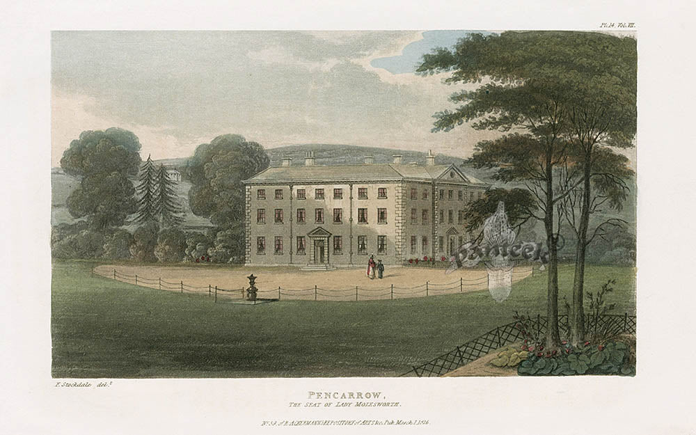 Ackermann Architecture Original Aquatint Pencarrow, Lady Molesworth