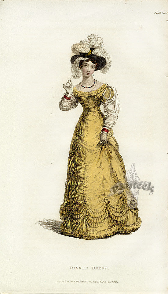 Ackermann's Repository Fashion Prints 1825 Gold Dinner Dress