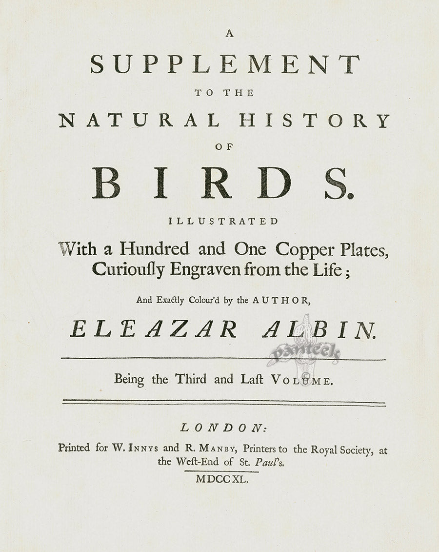 Albin Title Page