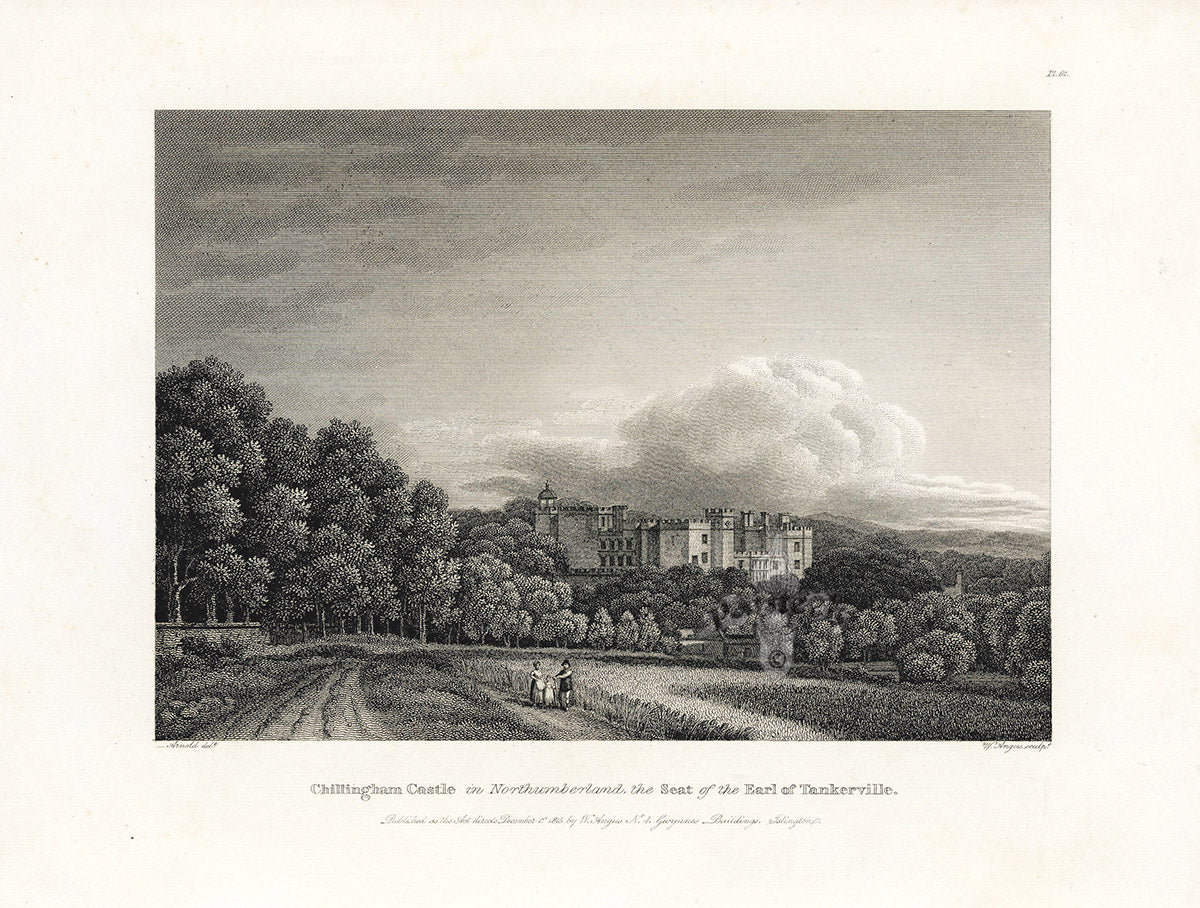 Angus English Stately Homes Original Print Chillingham Castle, Northum