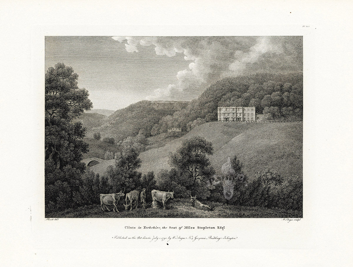 Angus English Stately Homes Original Print Clints, Yorks.