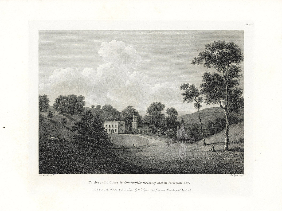 Angus English Stately Homes Original Print Nettlecombe Court, Som.
