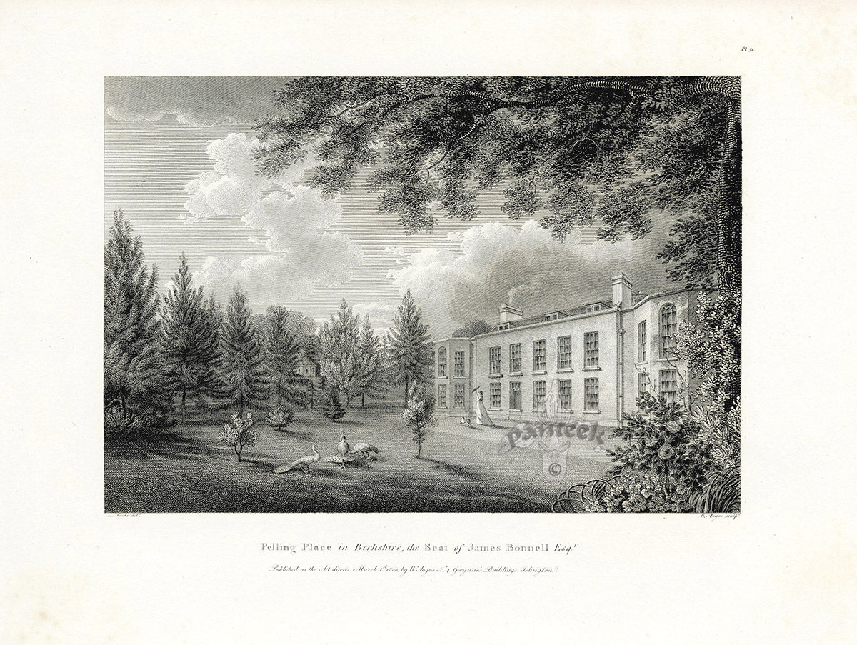 Angus English Stately Homes Original Print Pelling Place, Berks.