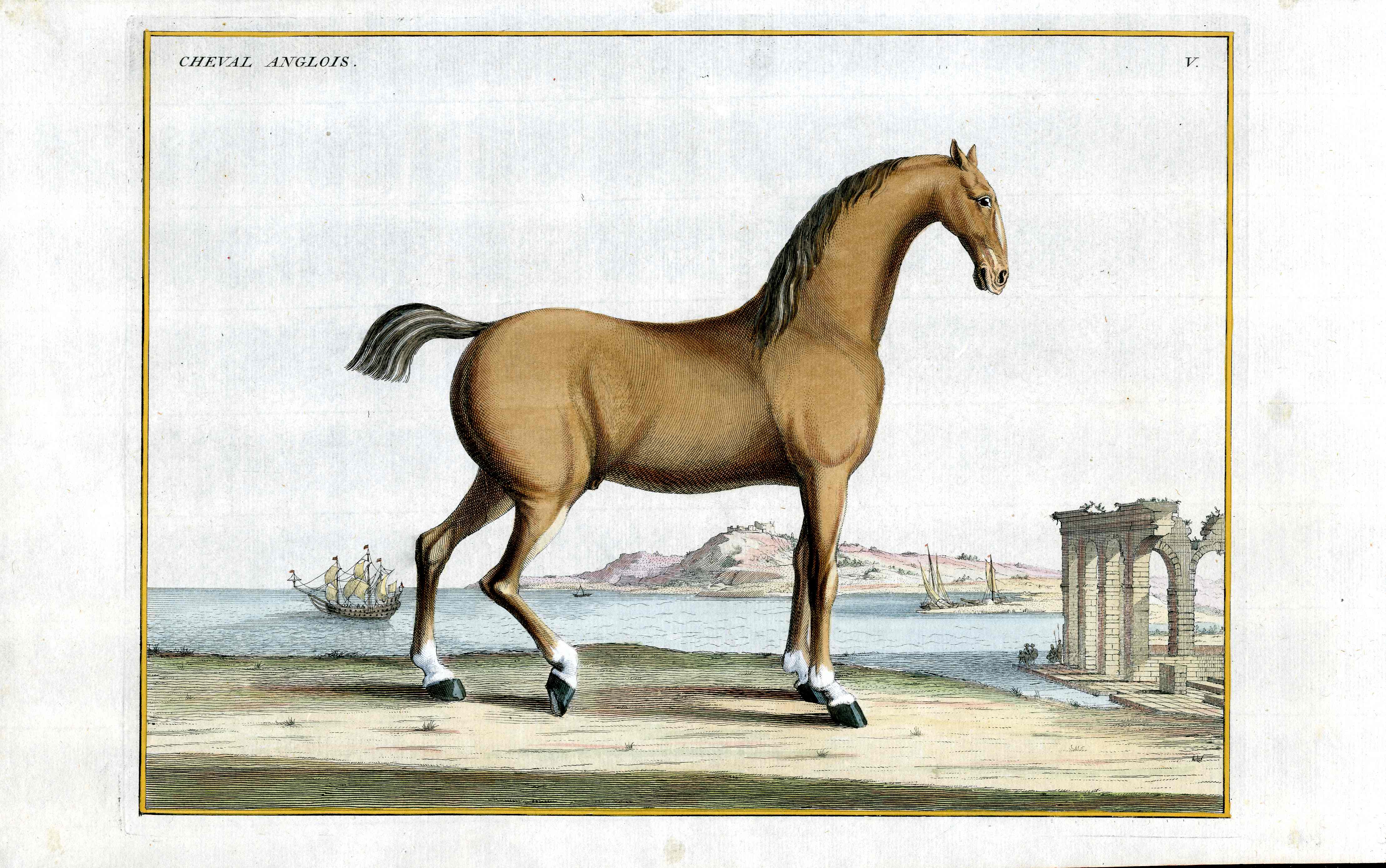 Baron Eisenberg Antique Horse Print Cheval Anglois
