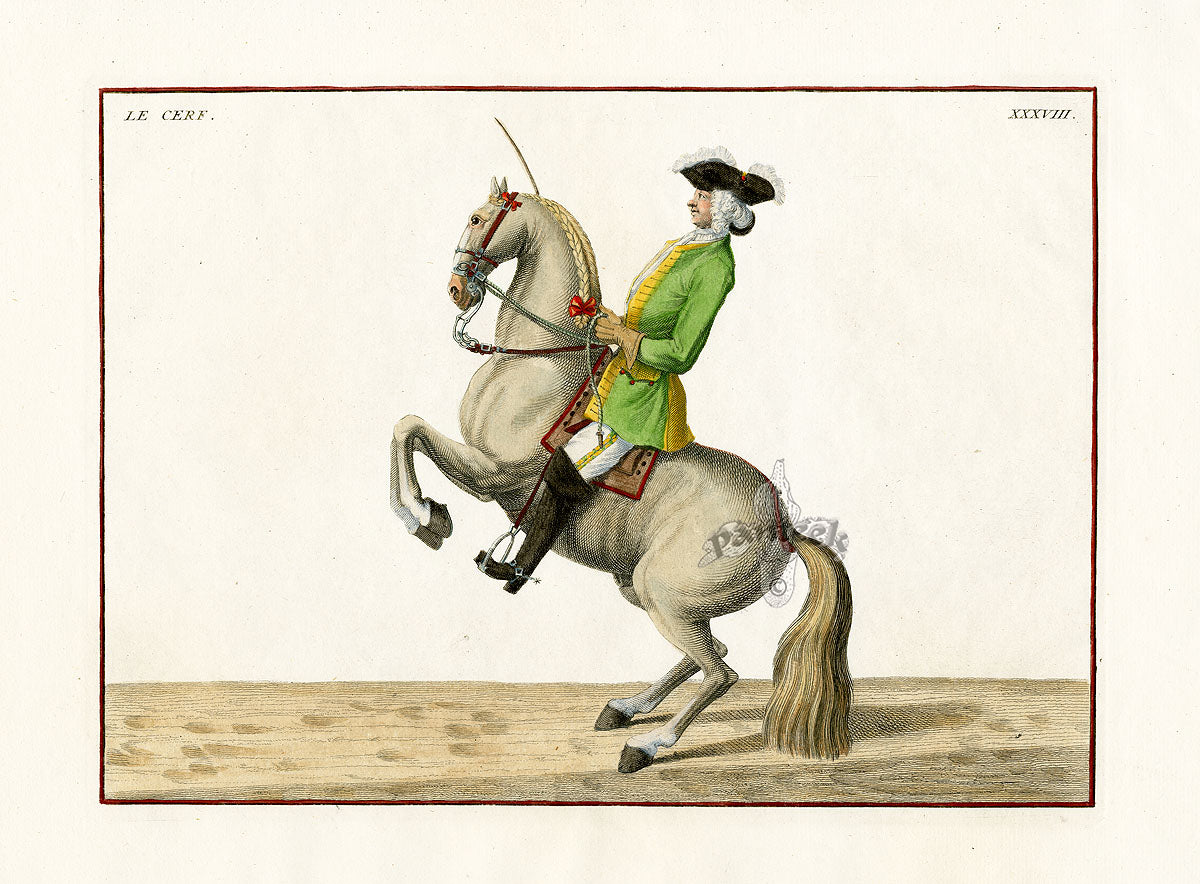 Baron Eisenberg Antique Horse Print Le Cerf