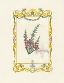 Benjamin Maund 1825 Original Flower Print Cels's Hovea - Panteek Antique Prints