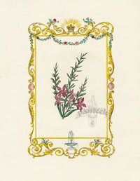 Benjamin Maund 1825 Original Flower Print Cels's Hovea - Panteek Antique Prints