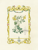 Benjamin Maund 1825 Original Flower Print Yellow Corydalis - Panteek Antique Prints