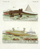 Bertuch Antique Prints 1790 Nile Crocodile, Pyramids - Panteek Antique Prints
