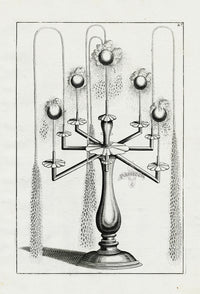 Bockler Architectura Curiosa Nova Fountain, 5 Floating Balls - Panteek Antique Prints