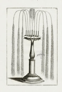 Bockler Architectura Curiosa Nova Fountain, 7 Spout Pillar BAF29 - Panteek Antique Prints