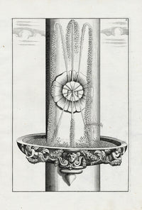Bockler Architectura Curiosa Nova Fountain, Column Flower - Panteek Antique Prints