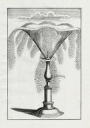 Bockler Architectura Curiosa Nova Fountain, Cone Spout - Panteek Antique Prints