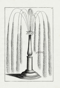 Bockler Architectura Curiosa Nova Fountain, Star Pillar - Panteek Antique Prints