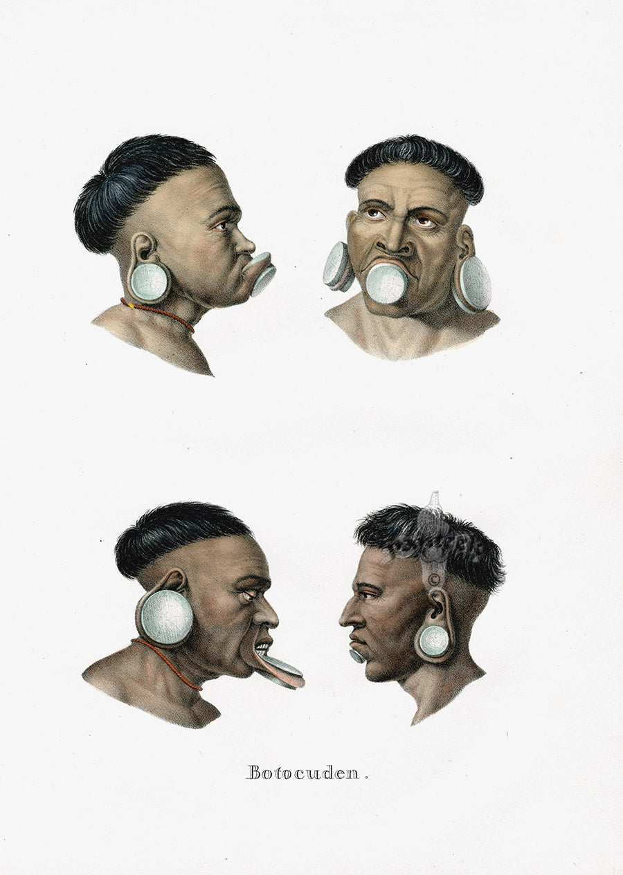 Bodmer Indigenous Peoples of the World Antique Print 1845 Botocuden
