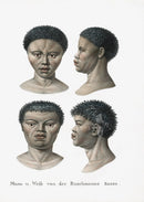 Bodmer Indigenous Peoples of the World Antique Print 1845 Bushmen - Panteek Antique Prints