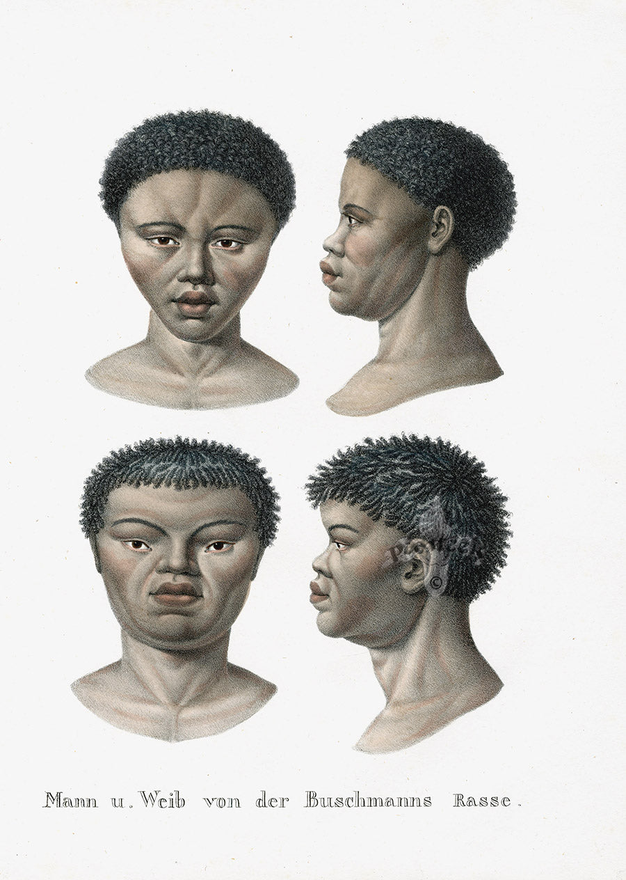 Bodmer Indigenous Peoples of the World Antique Print 1845 Bushmen