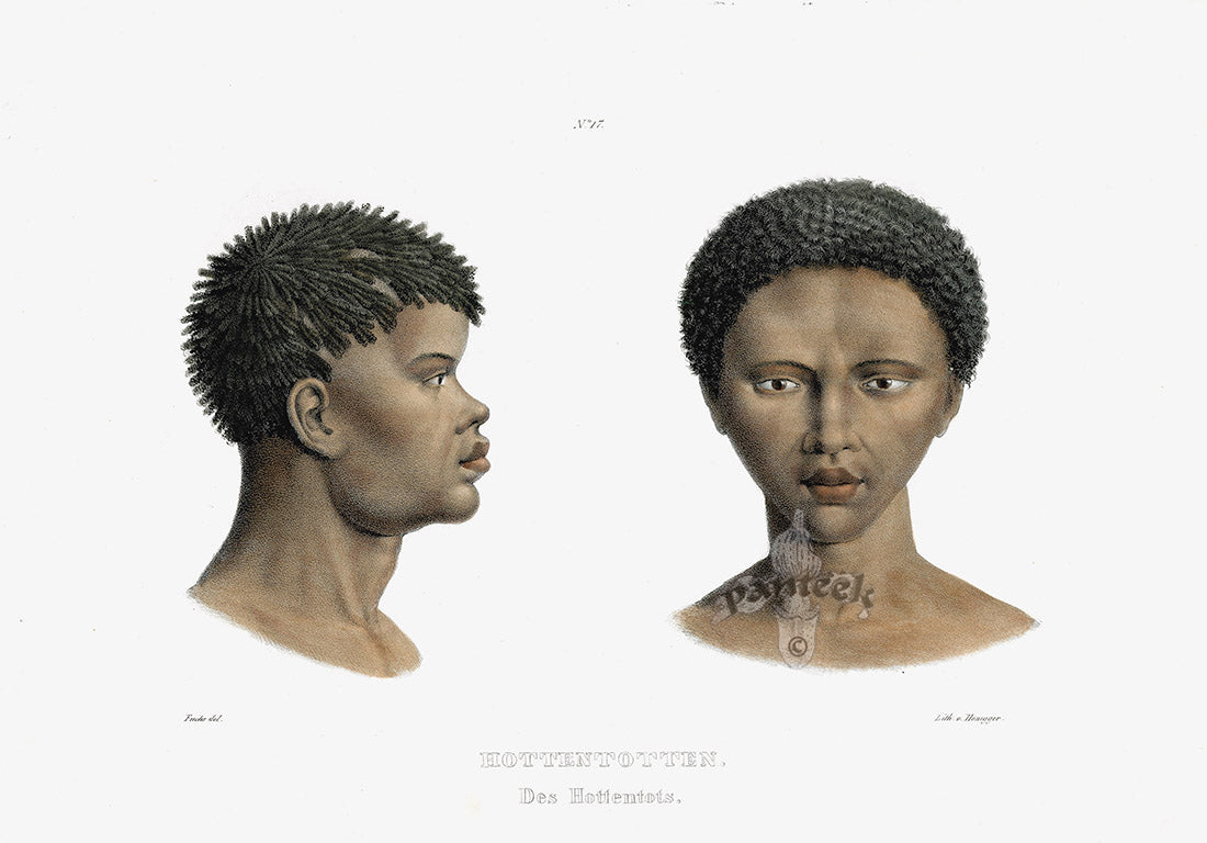 Bodmer Indigenous Peoples of the World Antique Print 1845 Khoekhoe