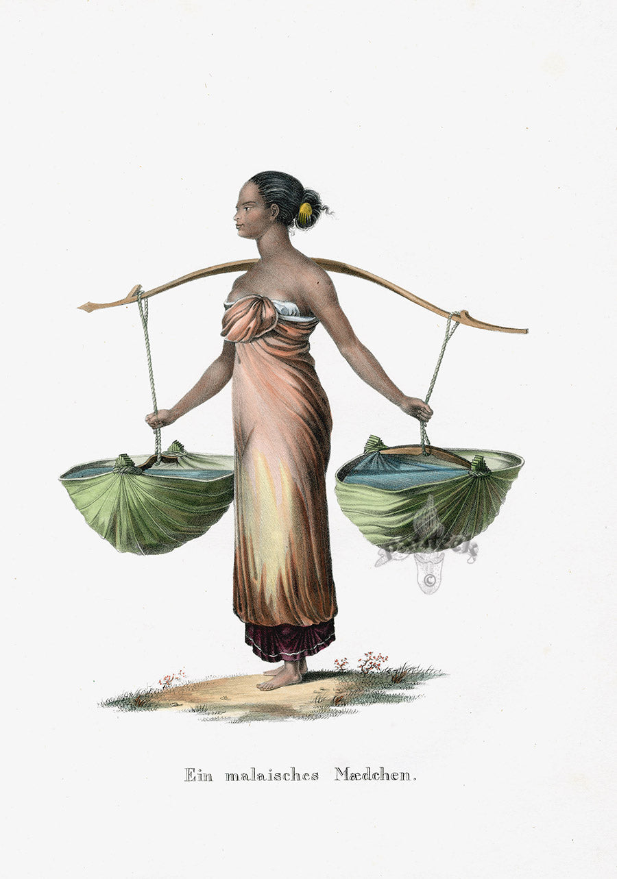 Bodmer Indigenous Peoples of the World Antique Print 1845 Malay