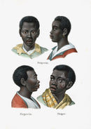Bodmer Indigenous Peoples of the World Antique Print 1845 Neger - Panteek Antique Prints