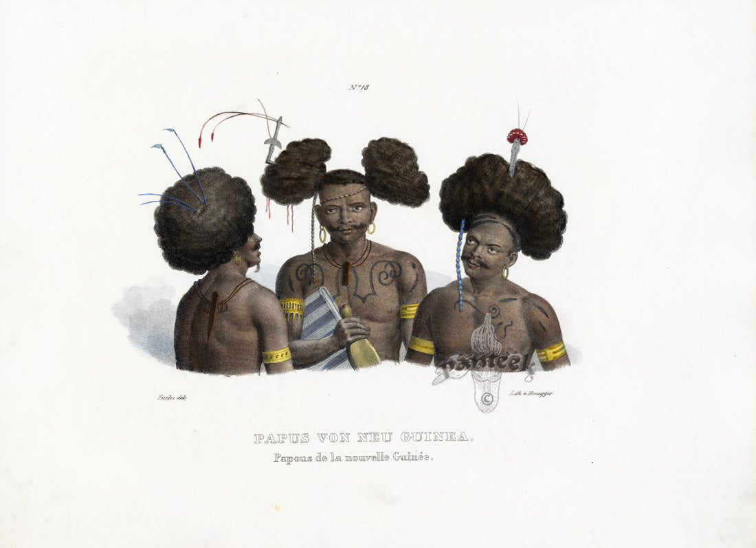 Bodmer Indigenous Peoples of the World Antique Print 1845 New Guinea