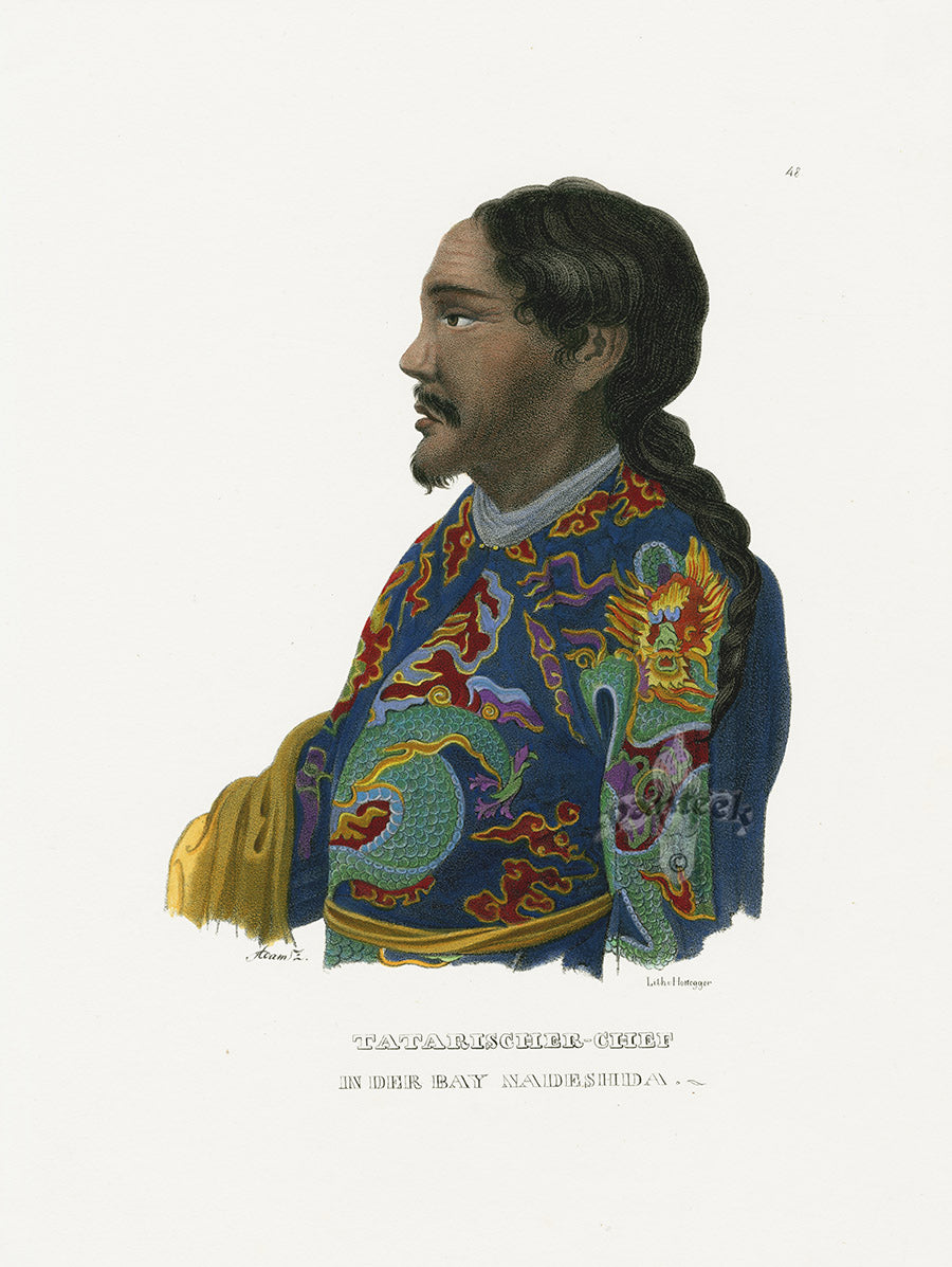 Bodmer Indigenous Peoples of the World Antique Print 1845 Tatarischer