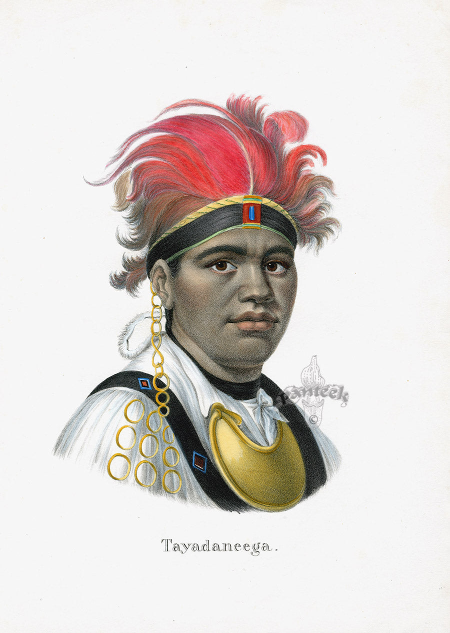 Bodmer Indigenous Peoples of the World Antique Print 1845 Tayadaneega