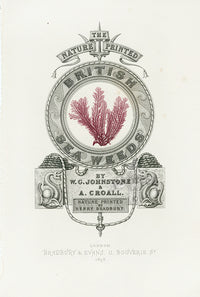 Bradbury Seaweed Illustration 1 - Panteek Antique Prints