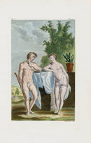 Buchoz Dons Merveilleux Man, Woman - Panteek Antique Prints