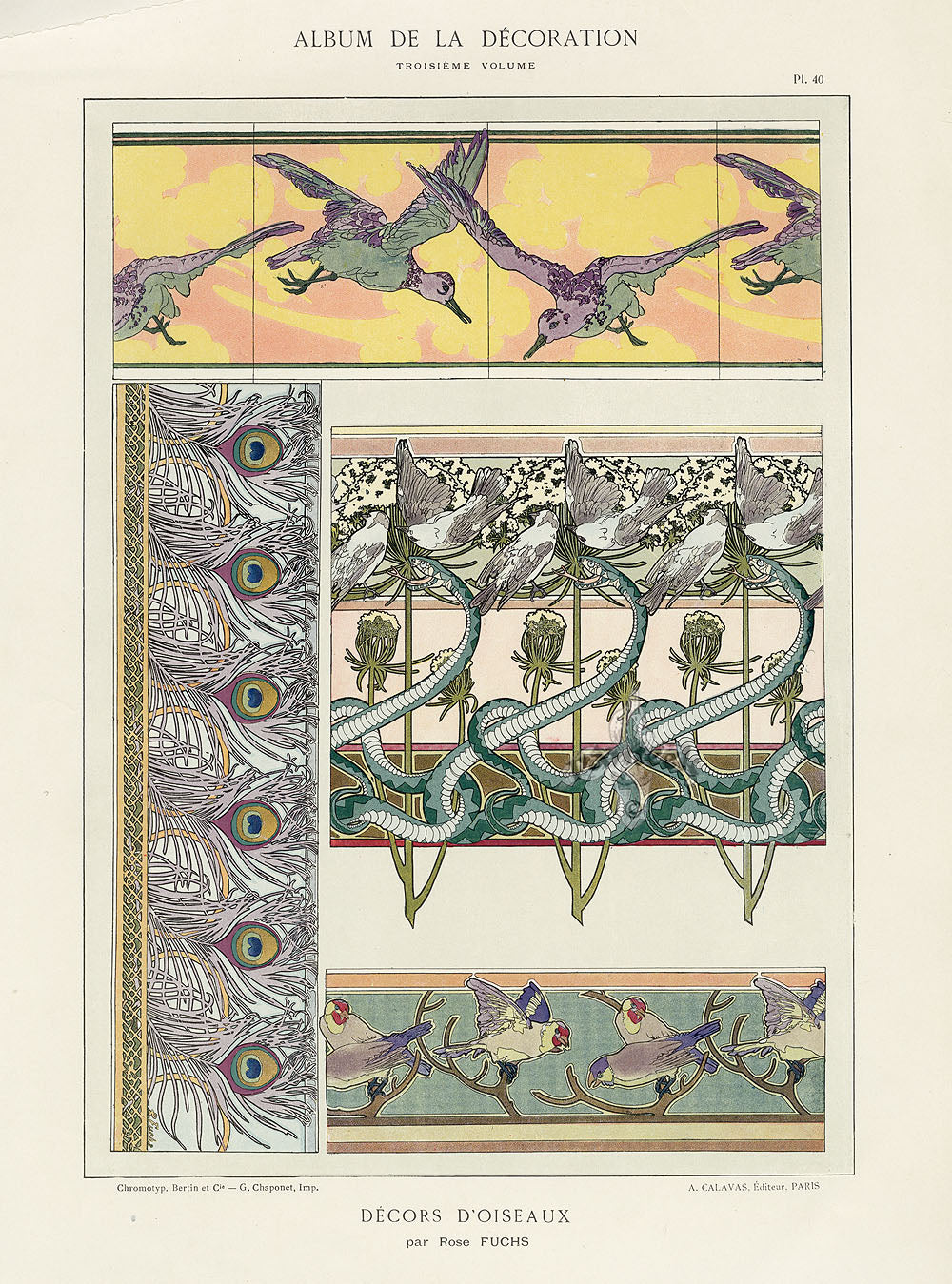 Calavas Decorative Antique Print Birds & Snakes by Fuchs