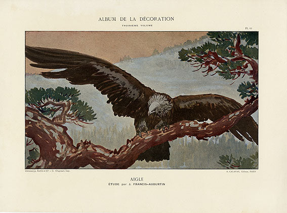 Calavas Decorative Antique Print Eagle by Francis-Auburtin