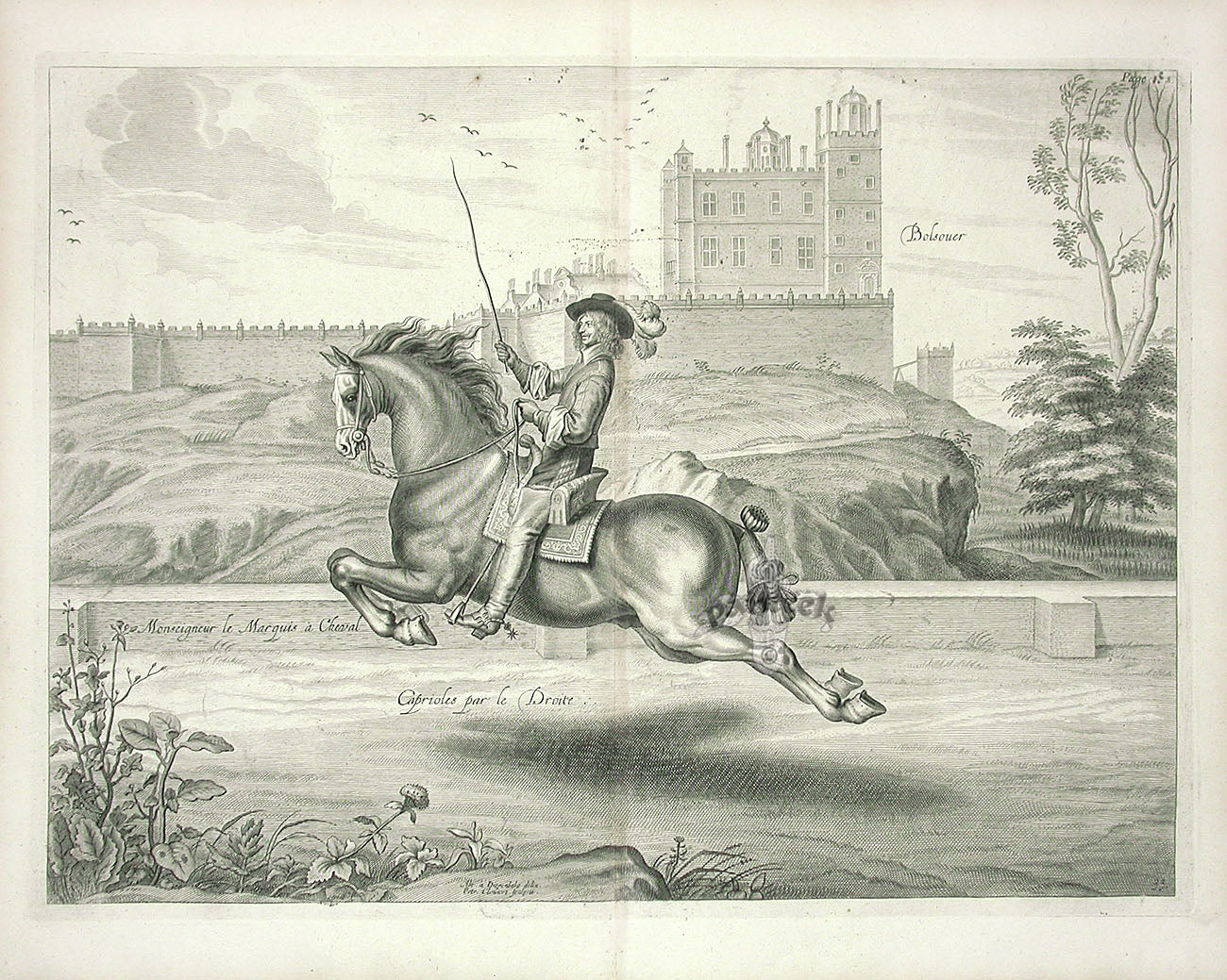 Cavendish General System of Horsemanship Print 1743 Caprioles