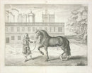 Cavendish General System of Horsemanship Print 1743 Horse of Spain - Panteek Antique Prints