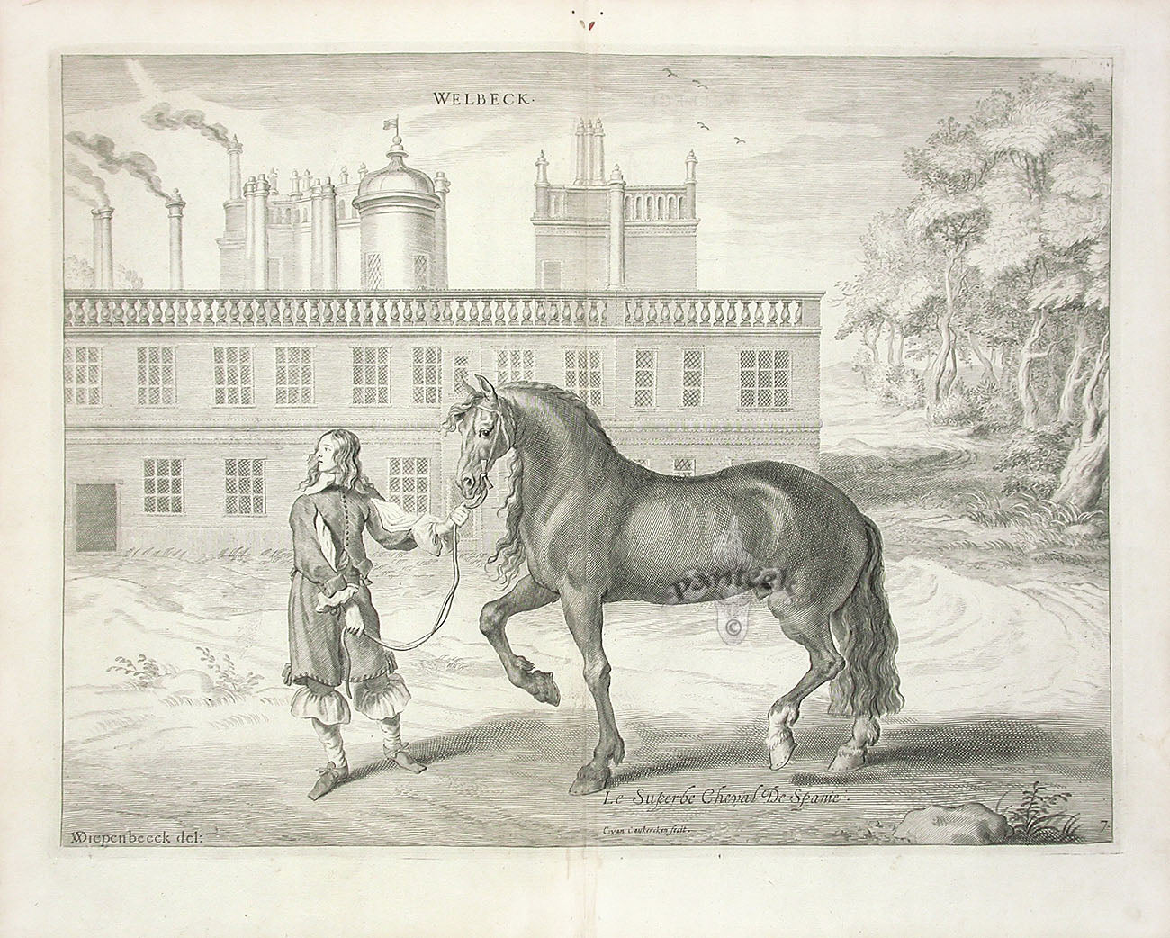 Cavendish General System of Horsemanship Print 1743 Horse of Spain