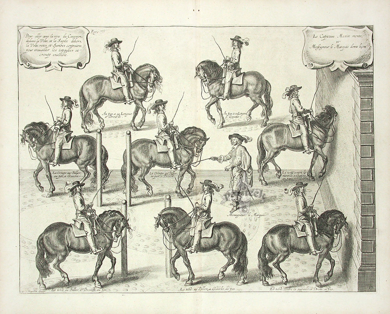 Cavendish General System of Horsemanship Print 1743 Marquis Dosne Leon