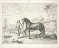 Cavendish General System of Horsemanship Print 1743 Rubecan, a Rosin - Panteek Antique Prints