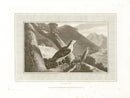 Daniell Birds Goshawk Original Print - Panteek Antique Prints