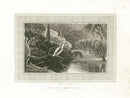 Daniell Birds King Fisher Original Print - Panteek Antique Prints