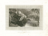 Daniell Birds King Fisher Original Print - Panteek Antique Prints