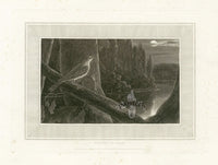 Daniell Birds Nightingale Original Print - Panteek Antique Prints