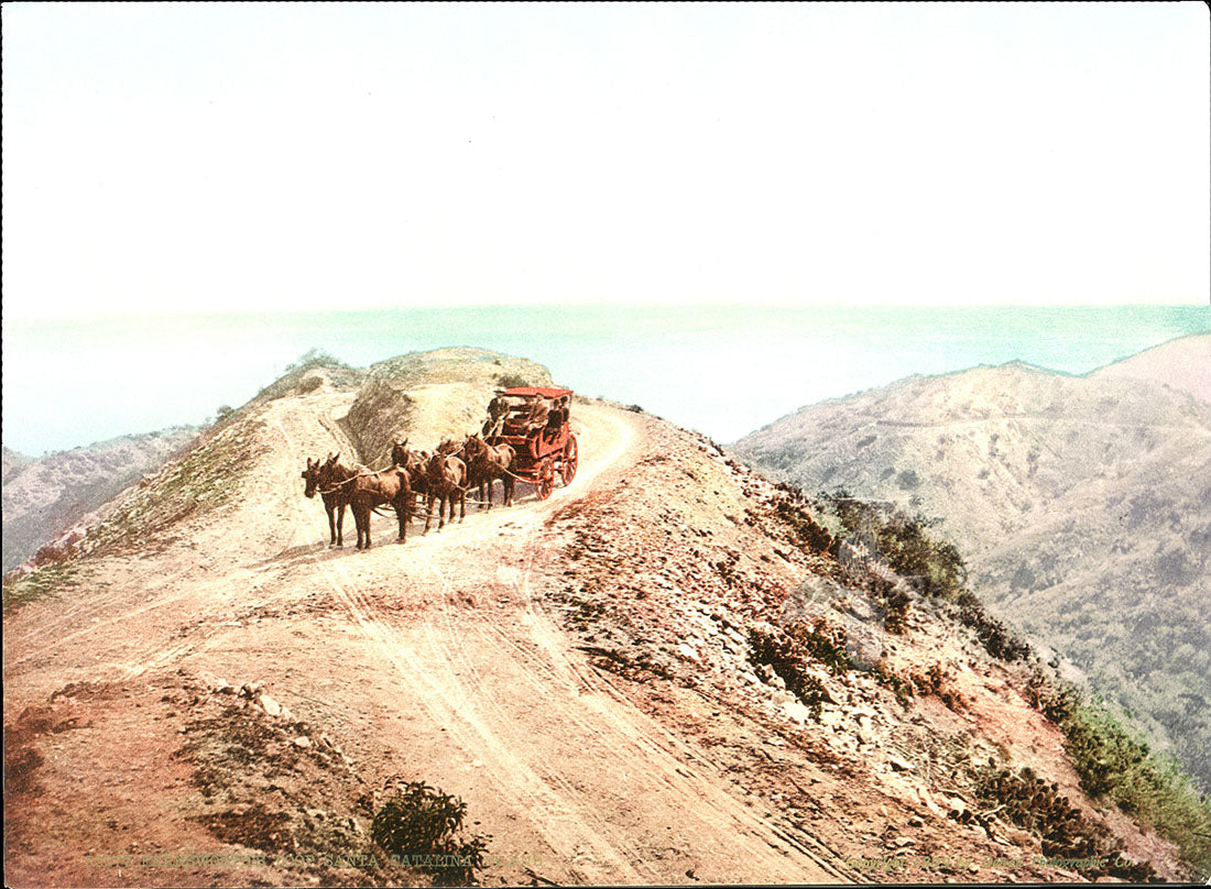 Detroit Photographic Co Prints 1898 Farnsworth's Loop, Catalina Is.