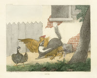 Doughty Original Lithograph Mammal 1830 Skunk, Chicken - Panteek Antique Prints