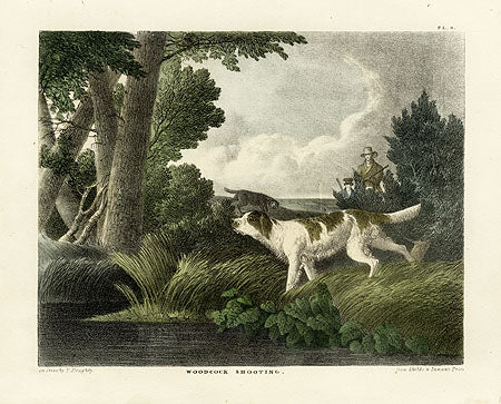 Doughty Original Lithograph Mammal 1830 Woodcock Shooting
