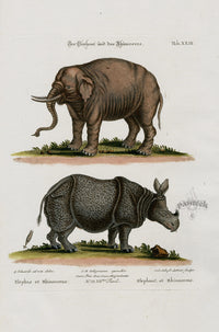 Edwards Seligmann Animal 1768 Elephant, Rhinoceros - Panteek Antique Prints