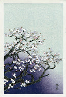 Eiichi Kotozuka Cherry Blossoms - Panteek Antique Prints