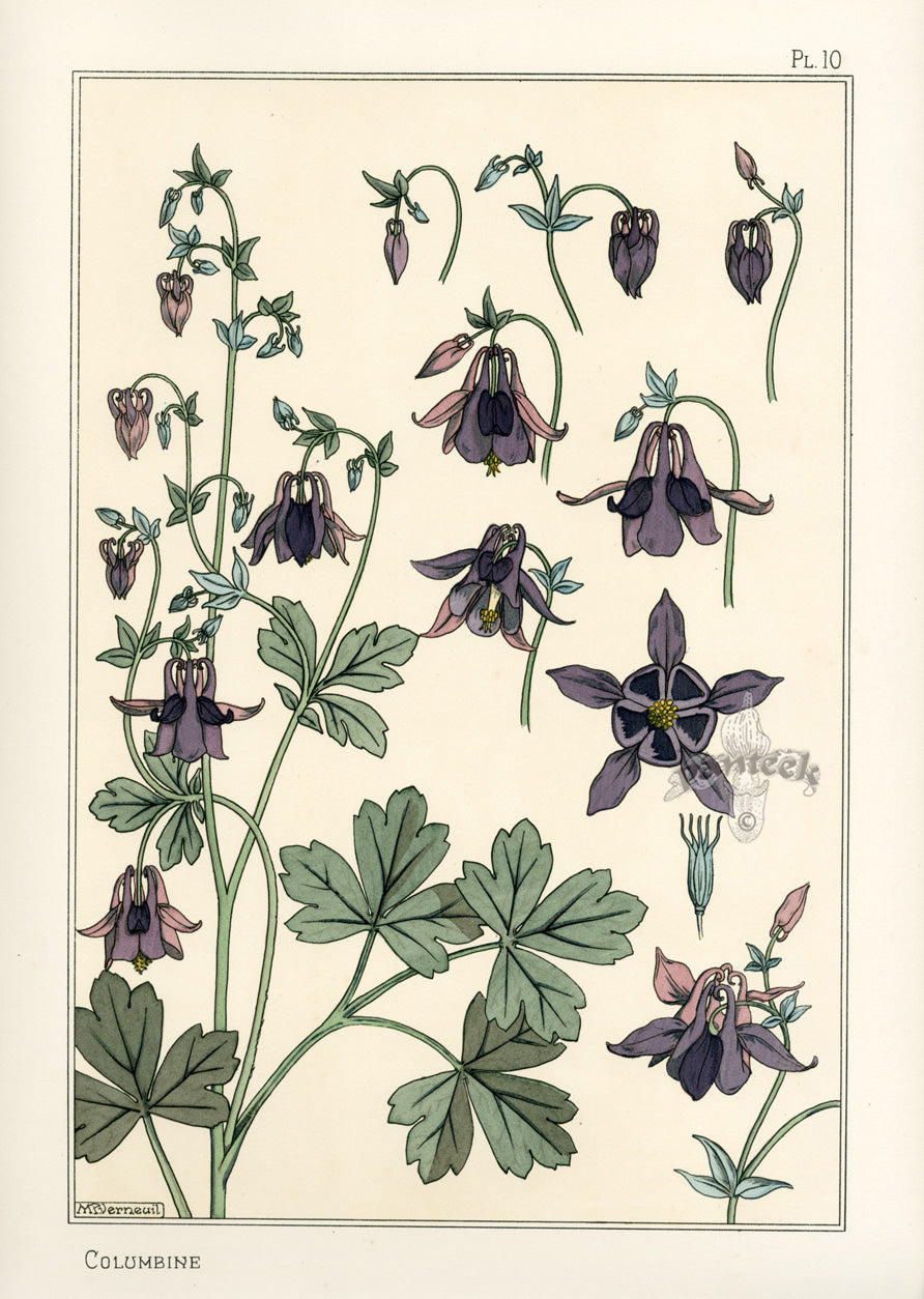 Eugene Grasset Pochoir Prints 1896 Columbine