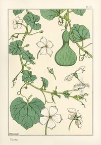 Eugene Grasset Pochoir Prints 1896 Courd - Panteek Antique Prints