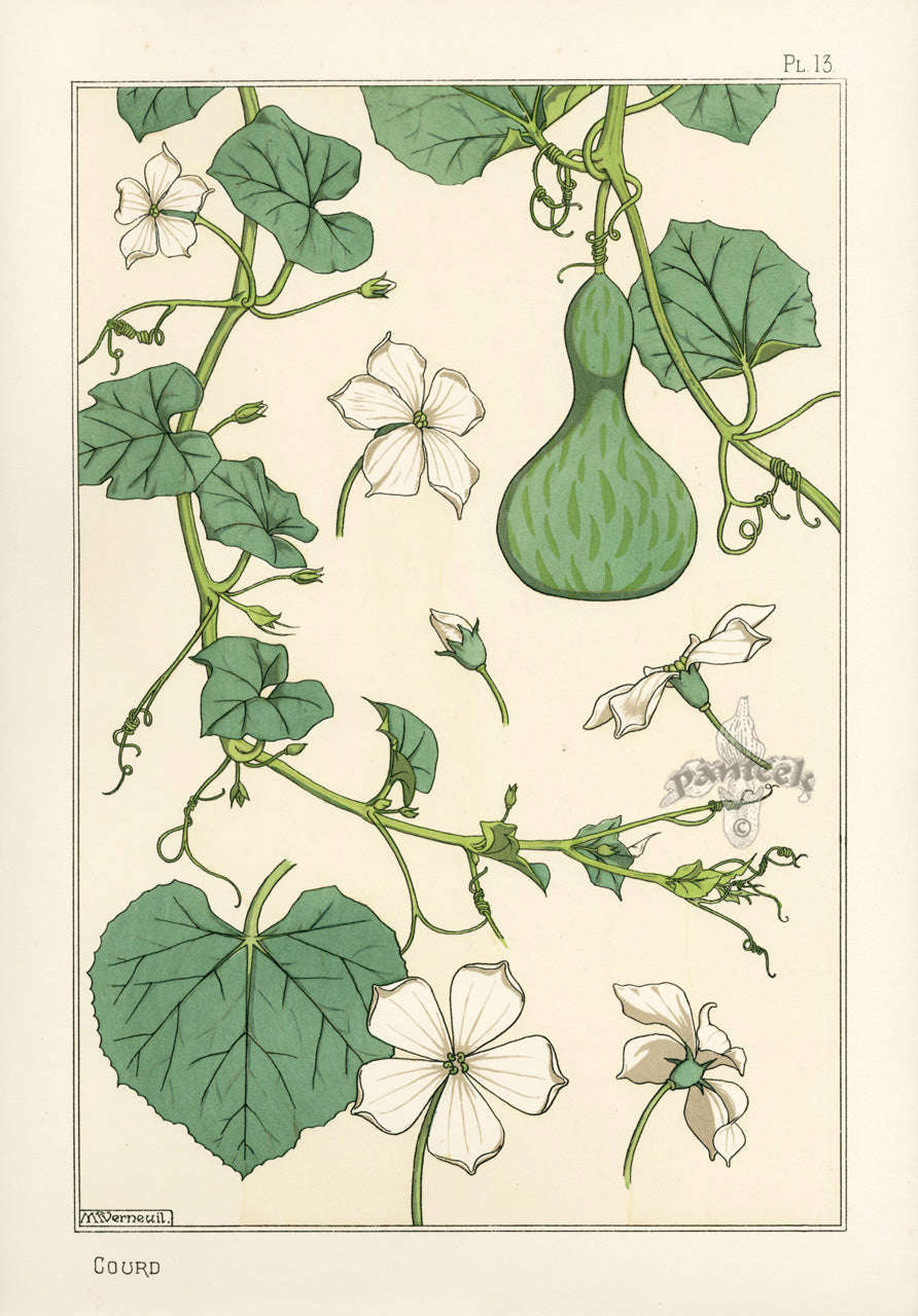 Eugene Grasset Pochoir Prints 1896 Courd