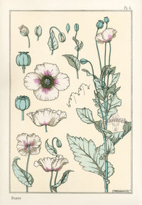 Eugene Grasset Pochoir Prints 1896 Poppy - Panteek Antique Prints